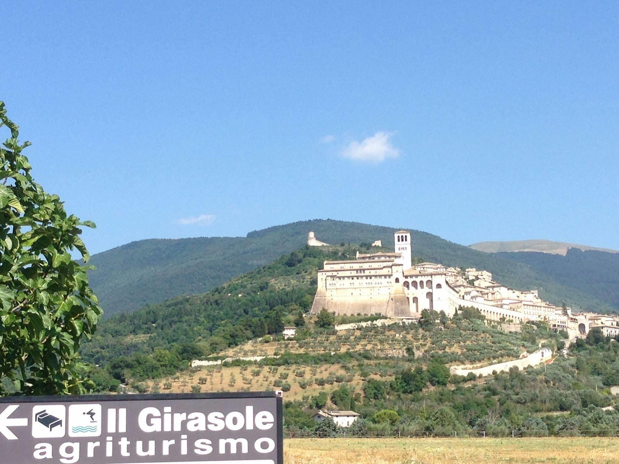 Il Girasole